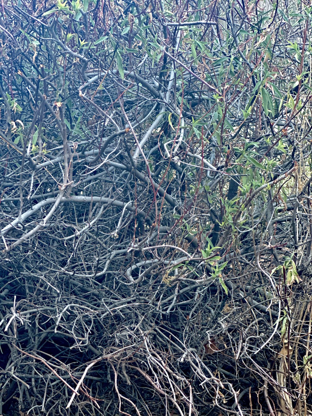 It has been a while since I’ve&nbsp;written…